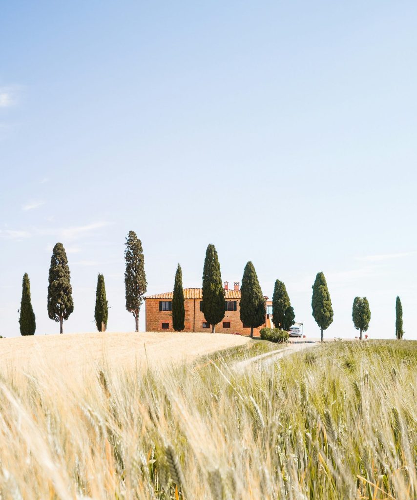The hills of Val d'Orcia