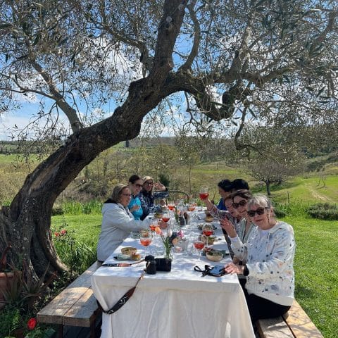 Numenvia guests enjoying lunch under a centuries-old olive tree at Puscina Flower Farm