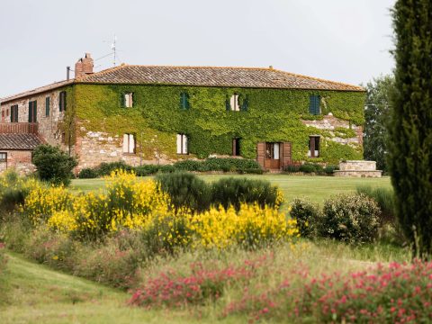 Ivy-covered farmhouse of Agriturismo Il Rigo with colorful garden in Val d'Orcia