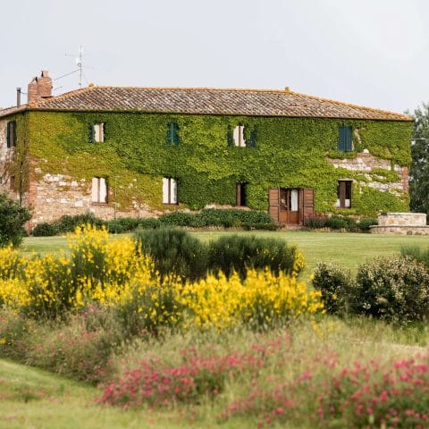 Ivy-covered farmhouse of Agriturismo Il Rigo with colorful garden in Val d'Orcia