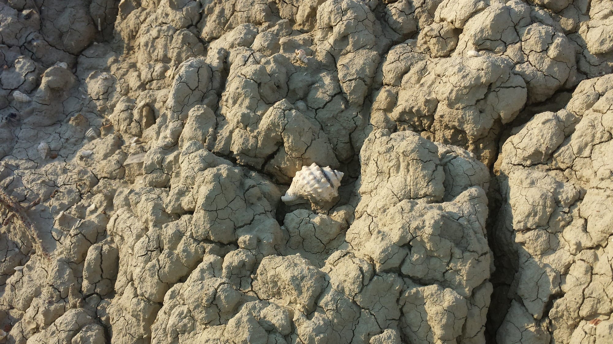 Trail through the Calanchi reserve