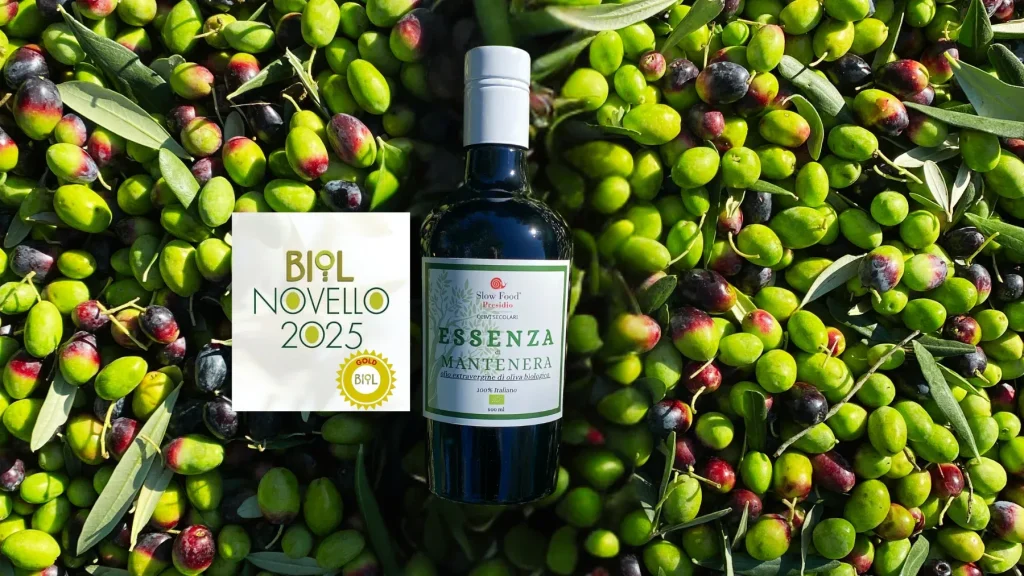 Mantenera Essenza olive oil bottle with BIOL Novello 2025 award on fresh olives