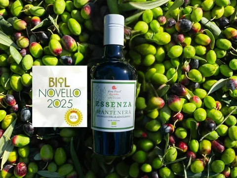 Mantenera Essenza olive oil bottle with BIOL Novello 2025 award on fresh olives