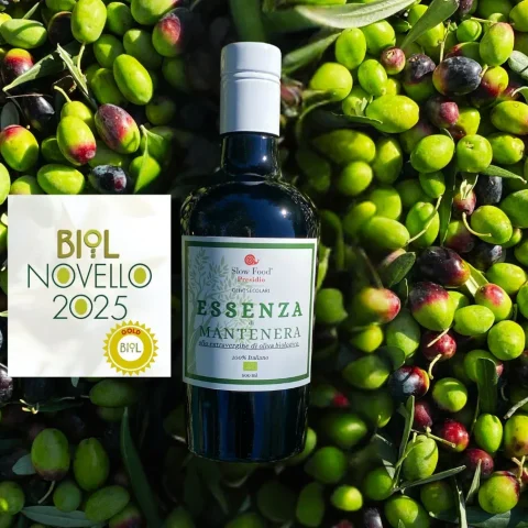 Mantenera Essenza olive oil bottle with BIOL Novello 2025 award on fresh olives