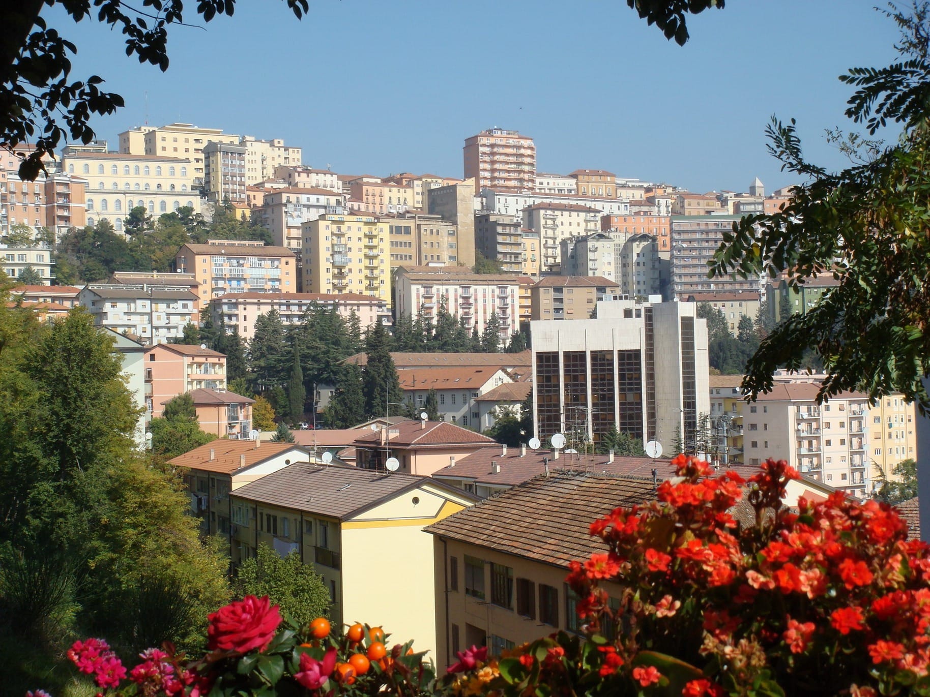 Panoramic view of Potenza cityscape with residential buildings and flowers in the foreground