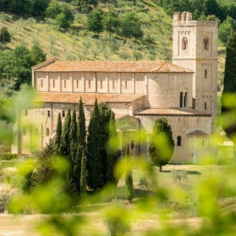 The Romanesque Abbey of Sant'Antimo set in olive groves near Montalcino