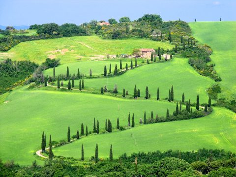 Rolling hills and cypress trees of the Val d'Orcia landscape, viewed from Via della Foce