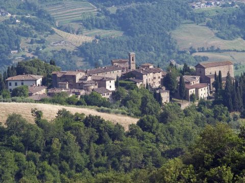 Panoramic view of the medieval village of Volpaia in Chianti on a hilltop surrounded by greenery