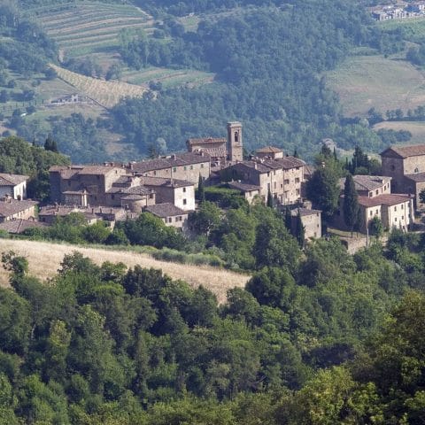 Panoramic view of the medieval village of Volpaia in Chianti on a hilltop surrounded by greenery