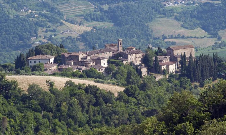 Panoramic view of the medieval village of Volpaia in Chianti on a hilltop surrounded by greenery