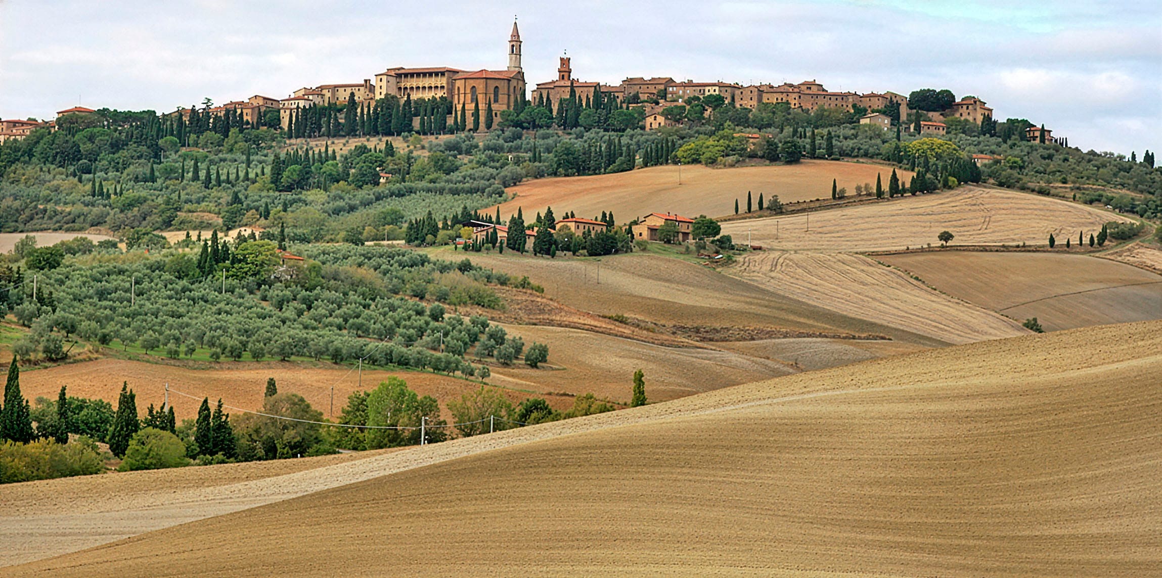 Golden wheat fields near Pienza in Val d'Orcia