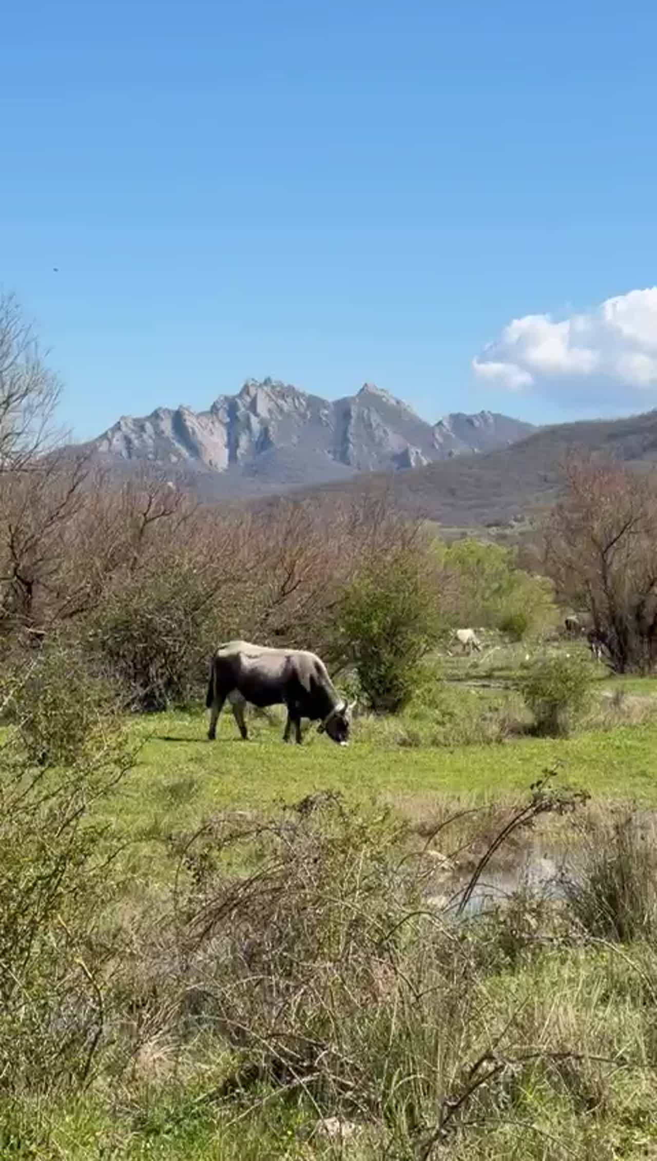 Trip Log - Basilicata, April 2026 — Wednesday, April 8, 2026